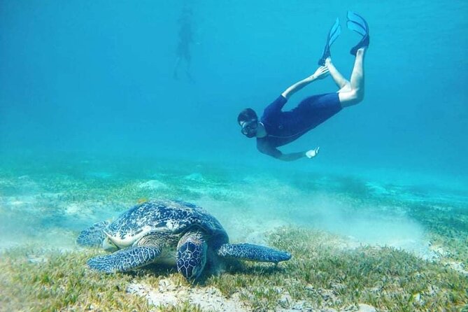 Marsa Mubarak snorkeling with dugong and turtles - marsaalam - Lunch on board and the second water stop