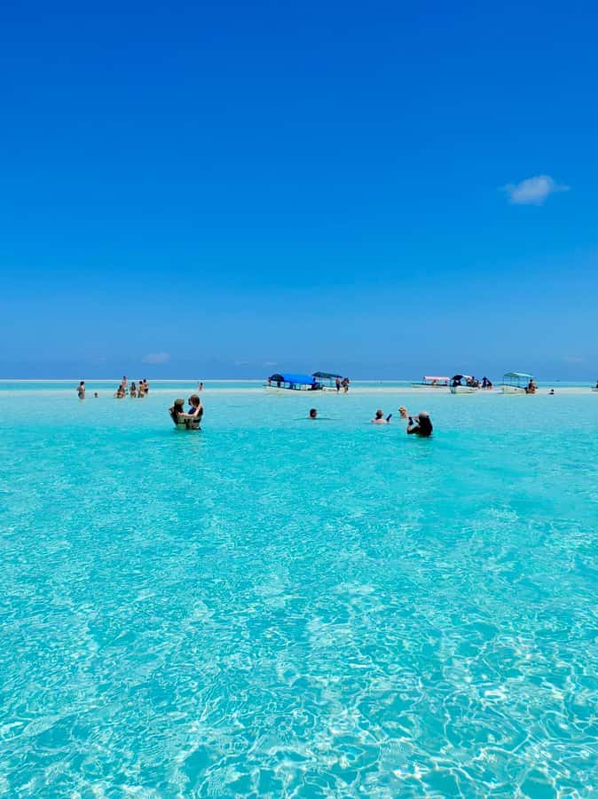 Matemwe: Mnemba Island Dolphin & Snorkeling Boat Trip - What makes this Matemwe boat trip worth considering