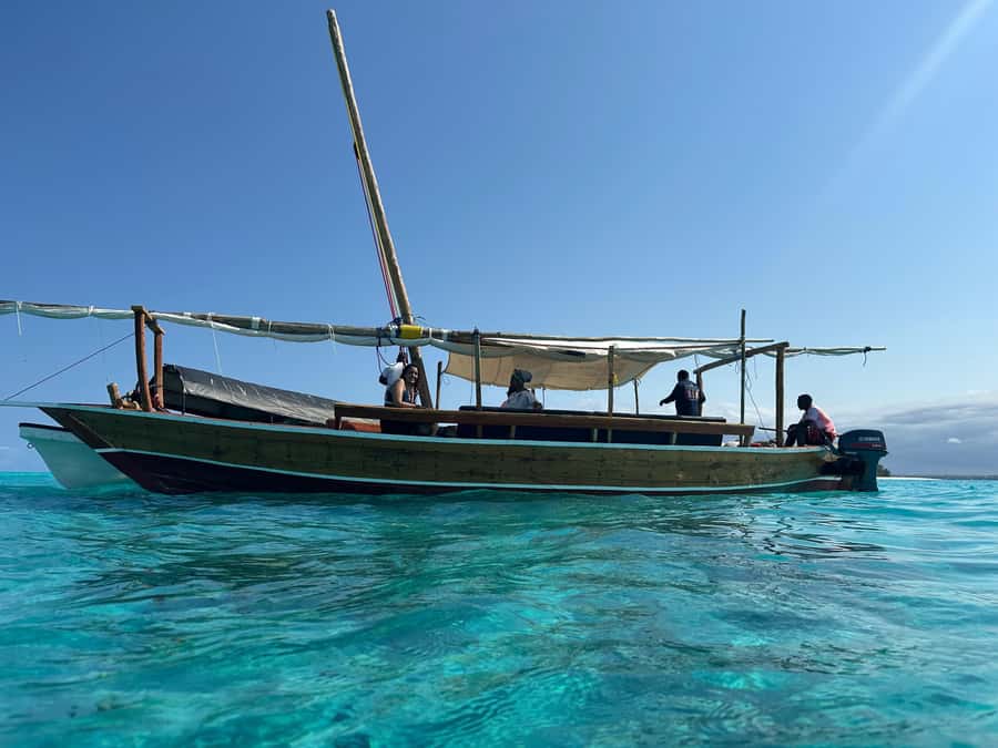 Matemwe: Mnemba Island Dolphin & Snorkeling Boat Trip - Dolphin watching around Mnemba Island