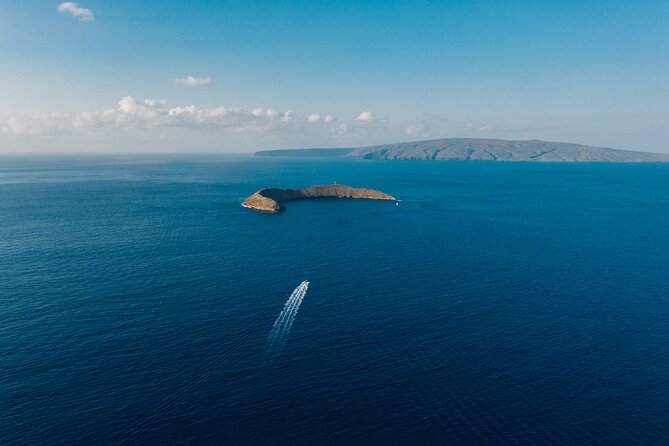 Maui: 2-Hour Molokini Snorkel Trip - The 7 a.m. Trip Versus the 9:30 a.m. Trip