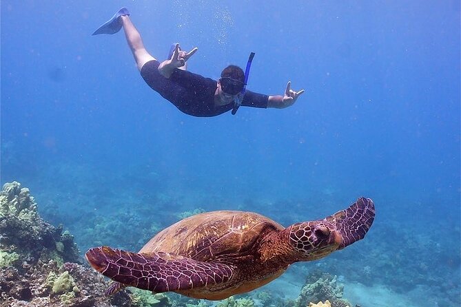 Maui Afternoon Snorkel Aboard Malolo to Molokini or Coral Gardens - A steady catamaran with useful details
