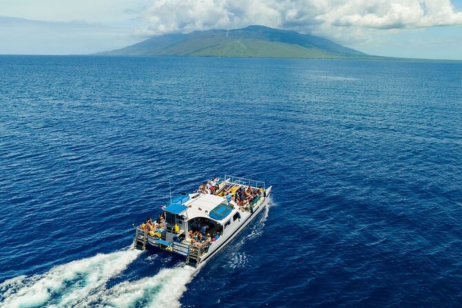 Maui Afternoon Snorkel Aboard Malolo to Molokini or Coral Gardens - Coral Gardens: the sensible backup, not a consolation prize