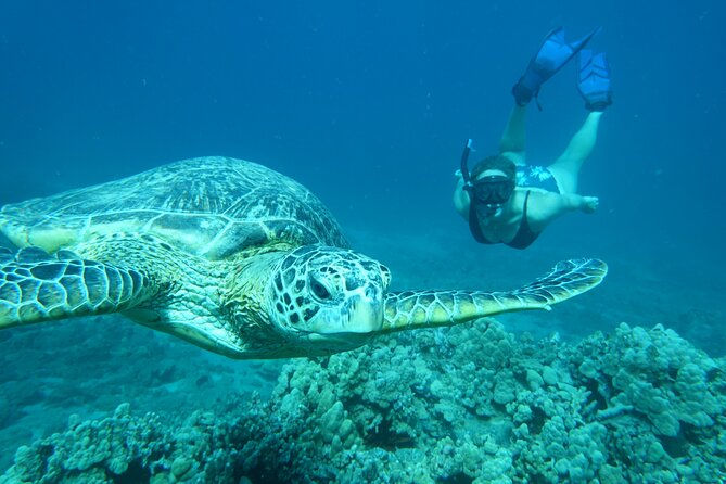 Maui Clear Kayak and Snorkel Tour: Swim with turtles (Makena) - Views from Makena Bay, Haleakala, and beyond