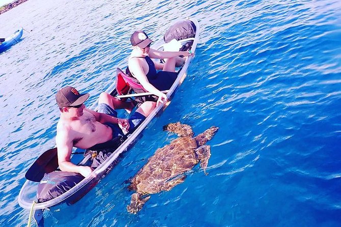 Maui Clear Kayak and Snorkel Tour: Swim with turtles (Makena) - Snacks, photos, and what to bring