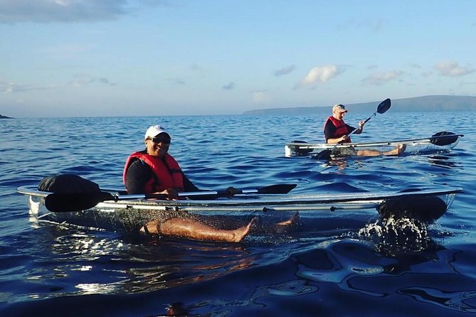 Maui Clear Kayak and Snorkel Tour: Swim with turtles (Makena) - Who should book this Makena outing?
