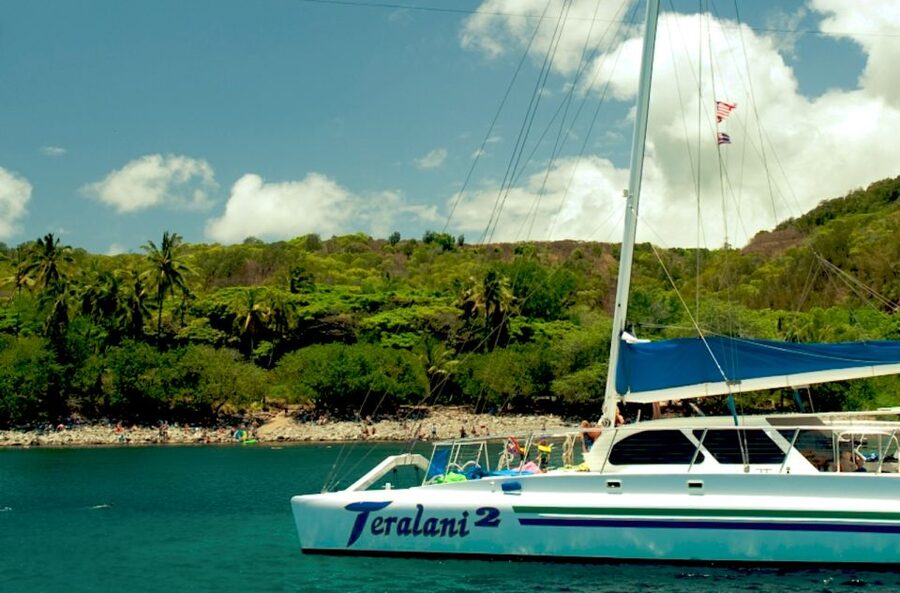 Maui: Kaanapali Beach 4-hour Snorkel w/ BBQ Lunch & Open Bar - What makes this cruise worth considering
