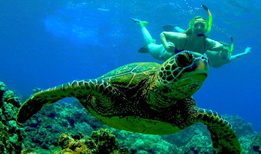 Maui: Kaanapali Beach 4-hour Snorkel w/ BBQ Lunch & Open Bar - Meeting the boat at Kaanapali Beach