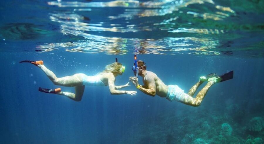 Maui: Kaanapali Beach 4-hour Snorkel w/ BBQ Lunch & Open Bar - Turtles, dolphins, and the luck of the sea