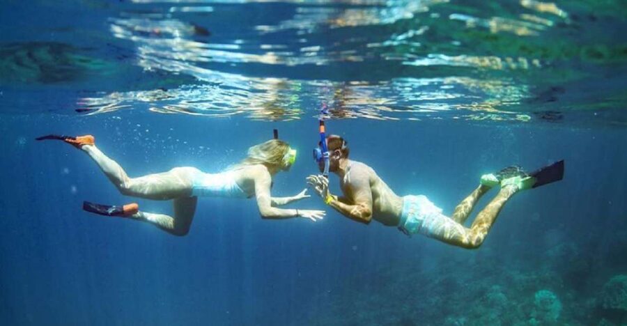 Maui: Kaanapali Beach 4-hour Snorkel w/ BBQ Lunch & Open Bar - Is $167 a fair price?