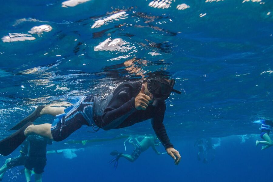 Maui: Lanai Snorkel & Dolphin Watch with Lunch - Who will enjoy this Lanai outing most?