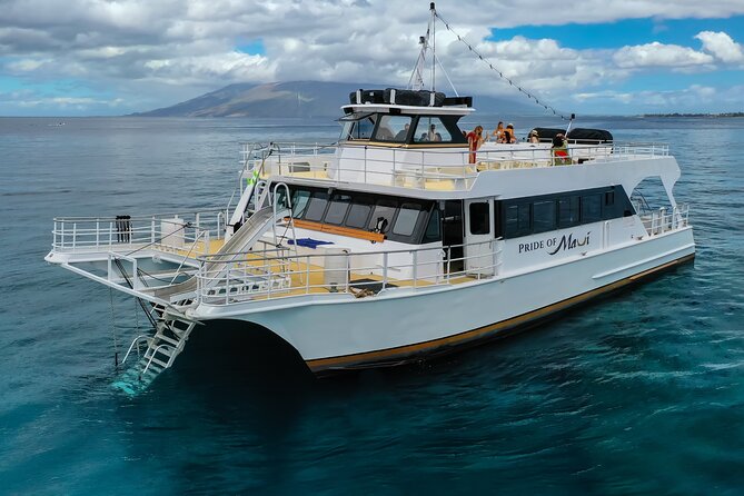 Maui: Molokini and Turtle Town Snorkeling aboard Pride of Maui - Turtle Town: the stop families most want