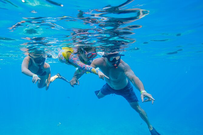 Maui: Molokini Crater and Turtle Town Snorkeling From Kihei - Food, drinks, and gear included