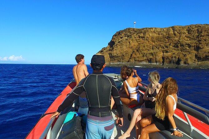 Maui: Molokini Crater and Turtle Town Snorkeling From Kihei - Who should book this excursion?