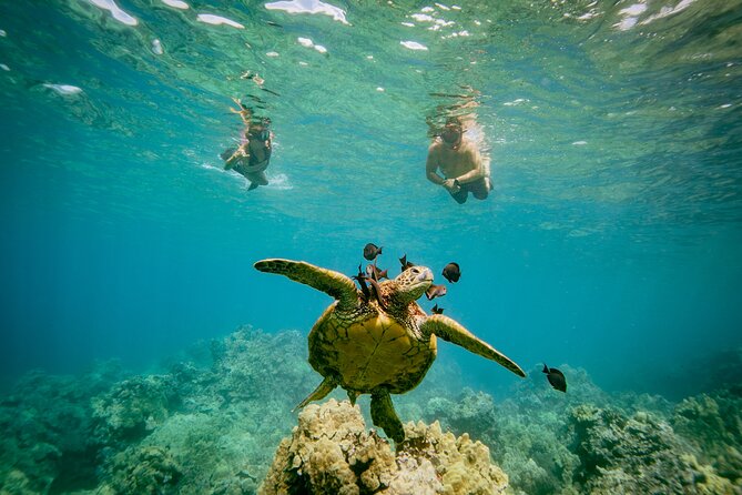 Maui: Molokini Crater and Turtle Town Snorkeling From Kihei - Weather, timing, and what to bring