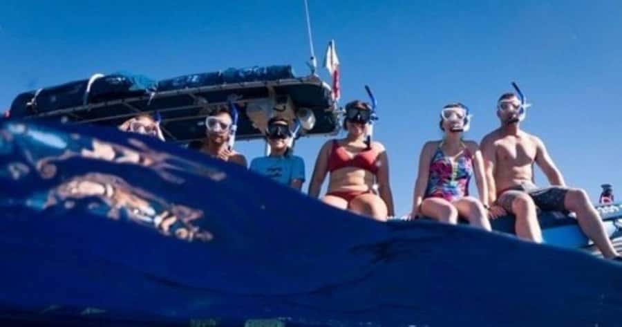 Maui: Molokini Crater and Turtle Town Snorkeling Tour - 3 hr - Key points at a glance