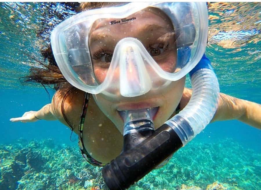 Maui: Molokini Crater and Turtle Town Snorkeling Tour - 3 hr - Leaving Kihei at 7:00 AM