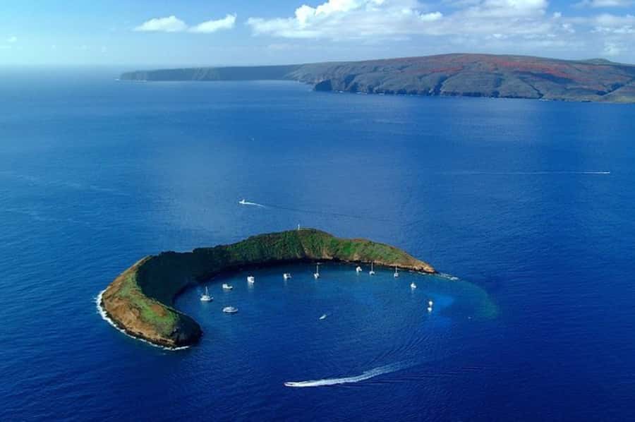 Maui: Molokini Express Snorkeling Tour - 2 hours - Key points to know before booking