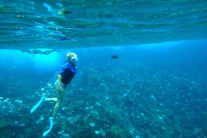 Maui: Molokini & Turtle Town Snorkel & Waterslide Adventure - Photos, Crew Style, and Small Group Feel