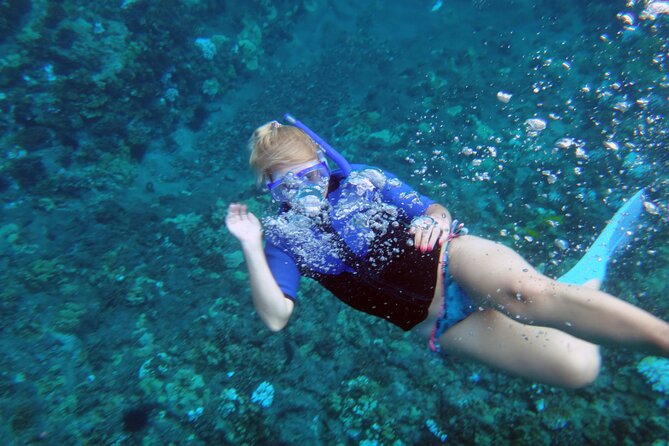 Maui: Molokini & Turtle Town Snorkel & Waterslide Adventure - Should You Book It?