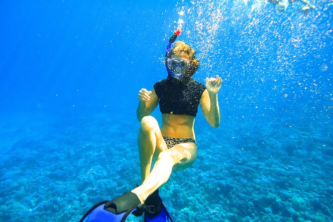 Maui: Molokini & Turtle Town Snorkel & Waterslide Adventure - Turtle Town: A Different Kind of Wildlife Stop