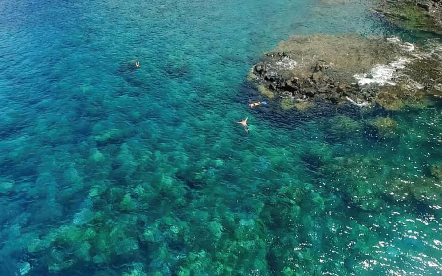 Maui: Semi-Private Eco-Raft Lanai Snorkel & Dolphin Tour - Why the small eco-raft format matters