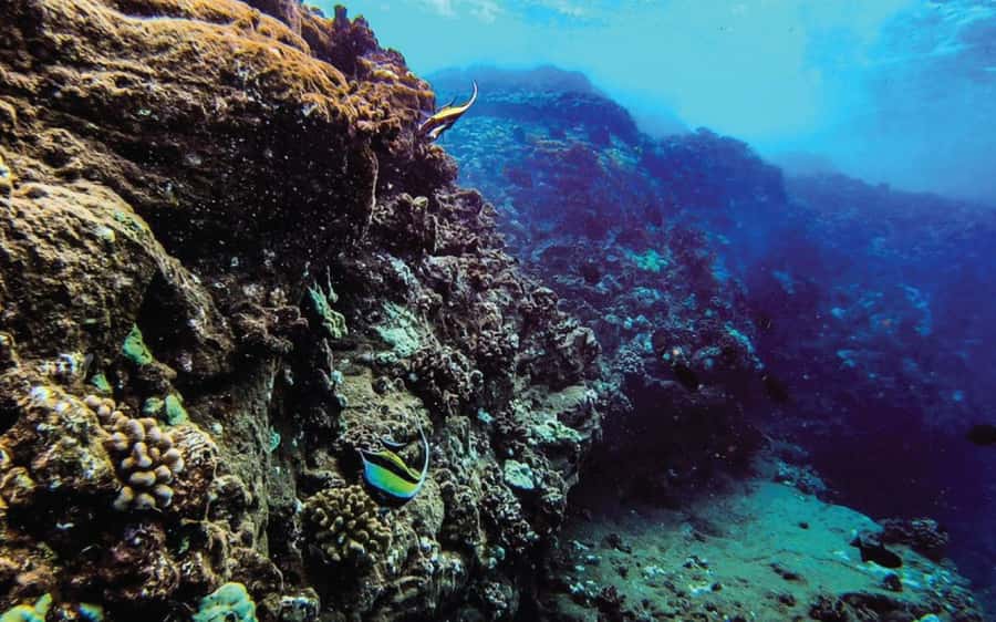Maui: Semi-Private Eco-Raft Lanai Snorkel & Dolphin Tour - Breakfast and the first Lanai snorkel stop