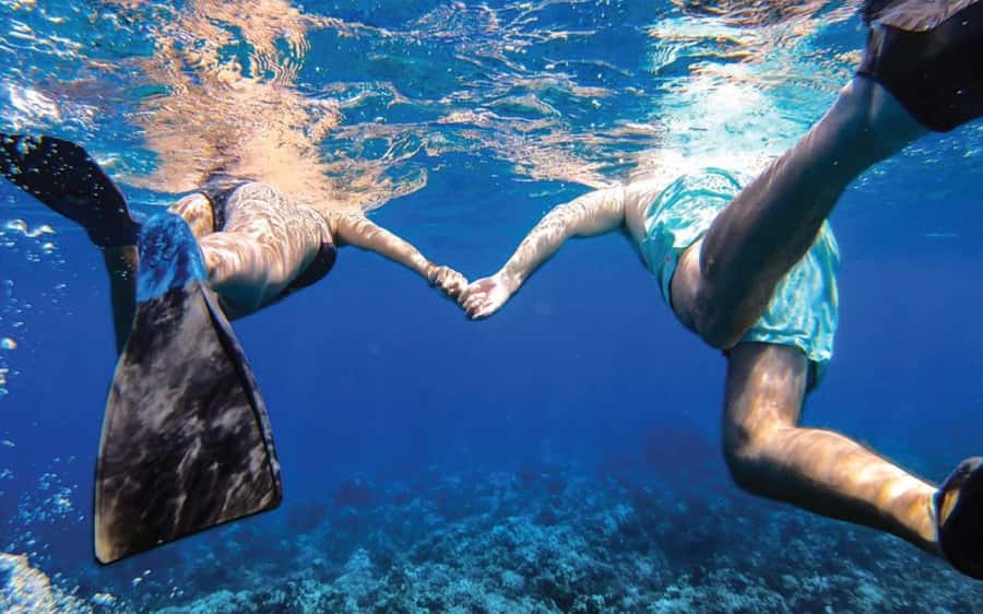 Maui: Semi-Private Eco-Raft Lanai Snorkel & Dolphin Tour - What the $204 price buys you
