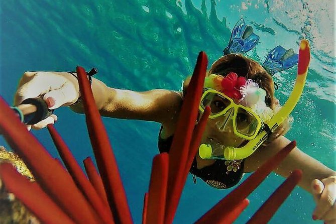 Maui Snorkel Adventure: Molokini Crater and Turtle Cove - The Super Raft Ride to Molokini Crater