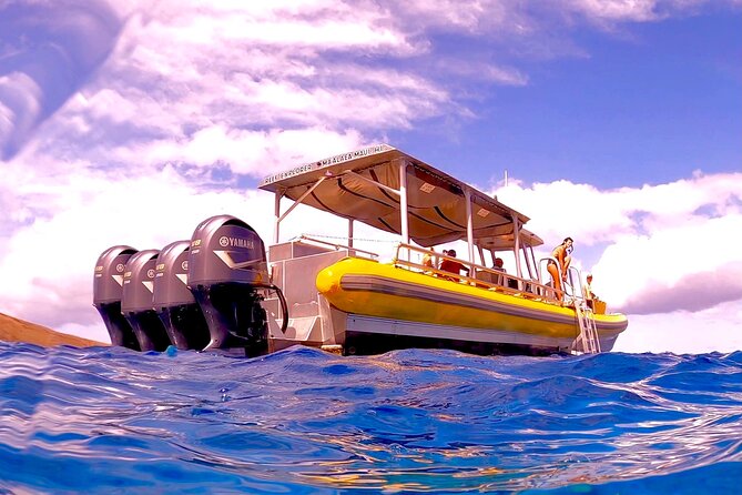 Maui Snorkel Adventure: Molokini Crater and Turtle Cove - Turtle Cove and the Search for Green Sea Turtles