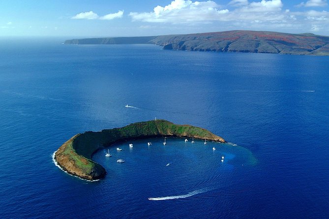 Maui Snorkeling Adventure From Ma'alaea Harbor to Molokini - Molokini Crater: Clear Water With Conditions
