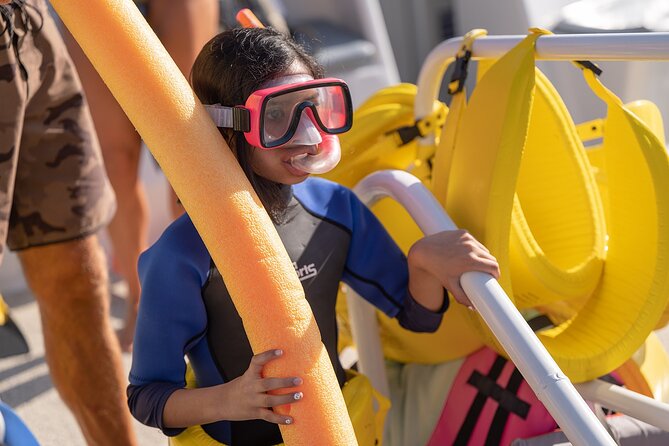 Maui Snorkeling Adventure to Molokini and Turtle Town - Is $159.95 a fair price?