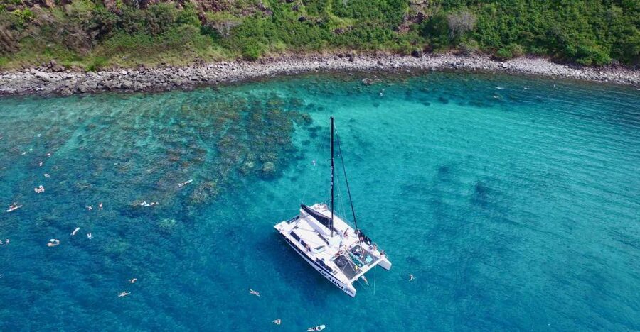 Maui: Snorkeling and Sailing Adventure with Buffet Lunch - Fish, Turtles, Dolphins, and Winter Whales
