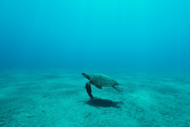 Maui Snorkeling Boat Tour to Turtle Town Aboard Quicksilver - The Quicksilver boat: slide, shade, and practical comforts