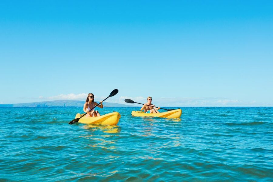 Maui: Turtle Town Kayak and Snorkel Tour - The highlights at a glance