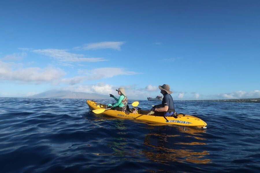 Maui: Turtle Town Kayak and Snorkel Tour - Paddling 1.5 miles across Makena Bay