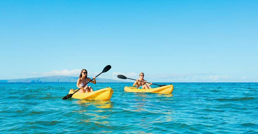 Maui: Turtle Town Kayak and Snorkel Tour - Whale season adds a remarkable bonus