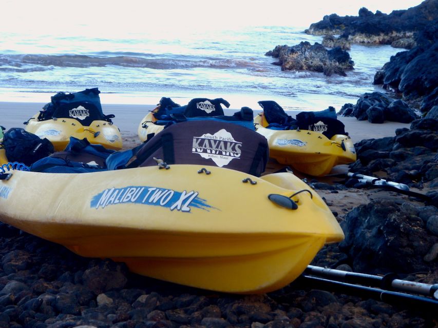Maui: Turtle Town Kayak and Snorkel Tour - Who should book this Maui outing?