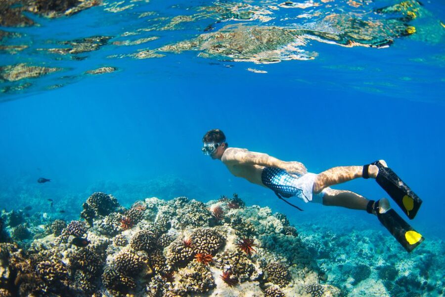 Maui: Turtle Town Kayak and Snorkel Tour - Why the 7:15 AM tour is the smart pick