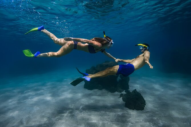 Maui: Turtle Town Snorkel with Photo and Video - Quick take: what makes this snorkel worth considering