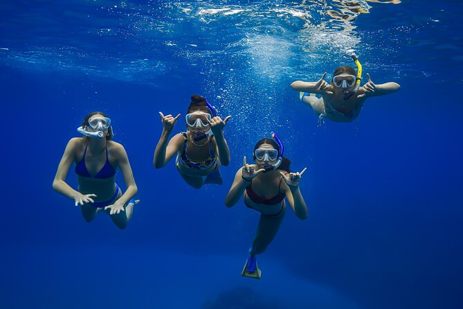 Maui: Turtle Town Snorkel with Photo and Video - Getting fitted with equipment and safety gear