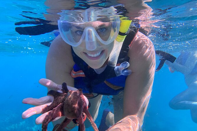 Maui: Turtle Town Snorkel with Photo and Video - Photos, video, and the value of the package