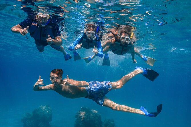 Maui: Turtle Town Snorkel with Photo and Video - How the two-hour timing really works