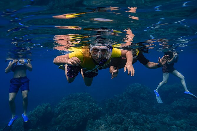 Maui: Turtle Town Snorkel with Photo and Video - Who should book this experience?