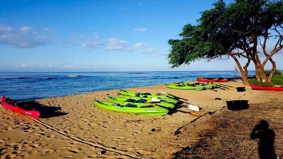 Maui: West Side Discovery Kayak & Snorkel from UKUMEHAME - Paddling roughly 1.5 miles along the coast