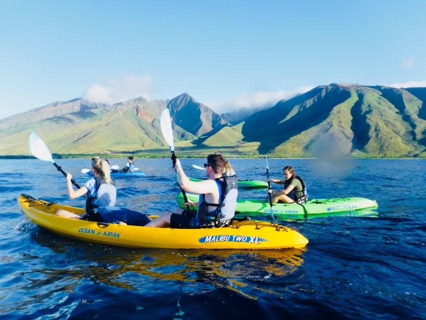 Maui: West Side Discovery Kayak & Snorkel from UKUMEHAME - What the $120 price really covers