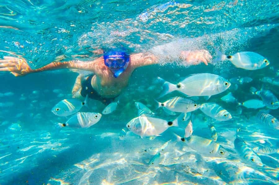 Mauritius: 5 East Coast Islands Tour with Snorkeling & Lunch - Swimming at Ile aux Aigrettes
