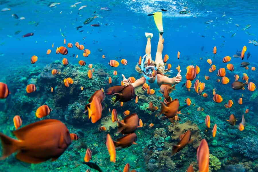 Mauritius: 5 East Coast Islands Tour with Snorkeling & Lunch - Starting at Ile aux Cerfs
