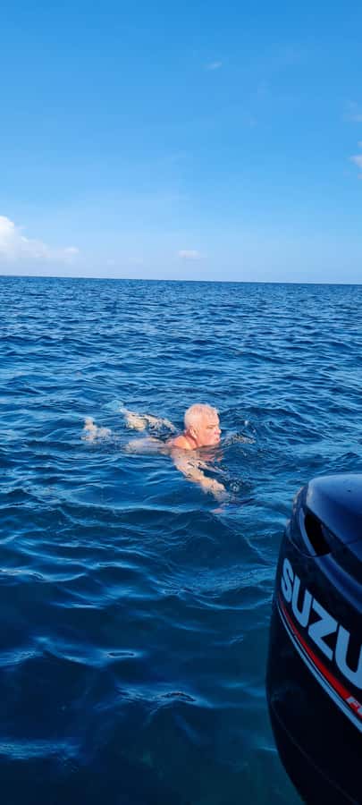 Mauritius: Snorkel and Swim with Dolphins on Speedboat Tour - Key points to know before booking