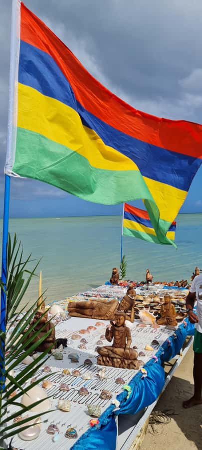Mauritius: Snorkel and Swim with Dolphins on Speedboat Tour - Swimming and snorkeling beside moving animals