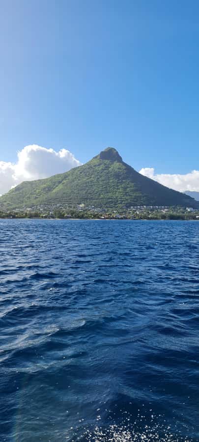 Mauritius: Snorkel and Swim with Dolphins on Speedboat Tour - What the captain and guide add